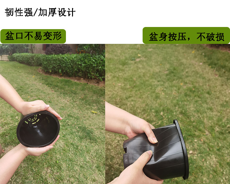 兰花盆塑料