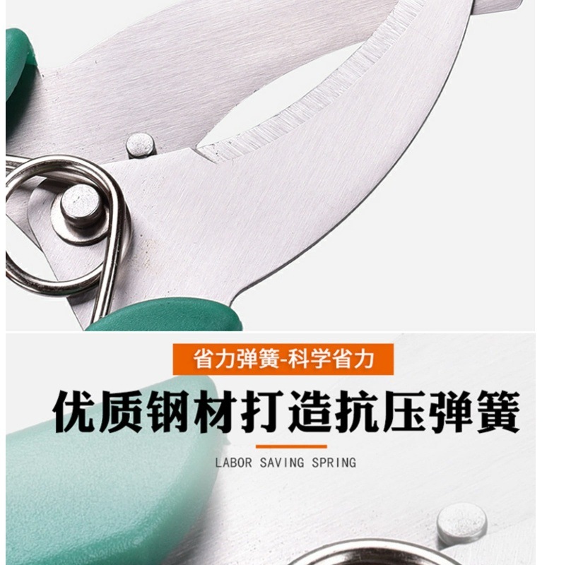 75678b2f-61ff-485e-bf9e-62da9140647a.jpe