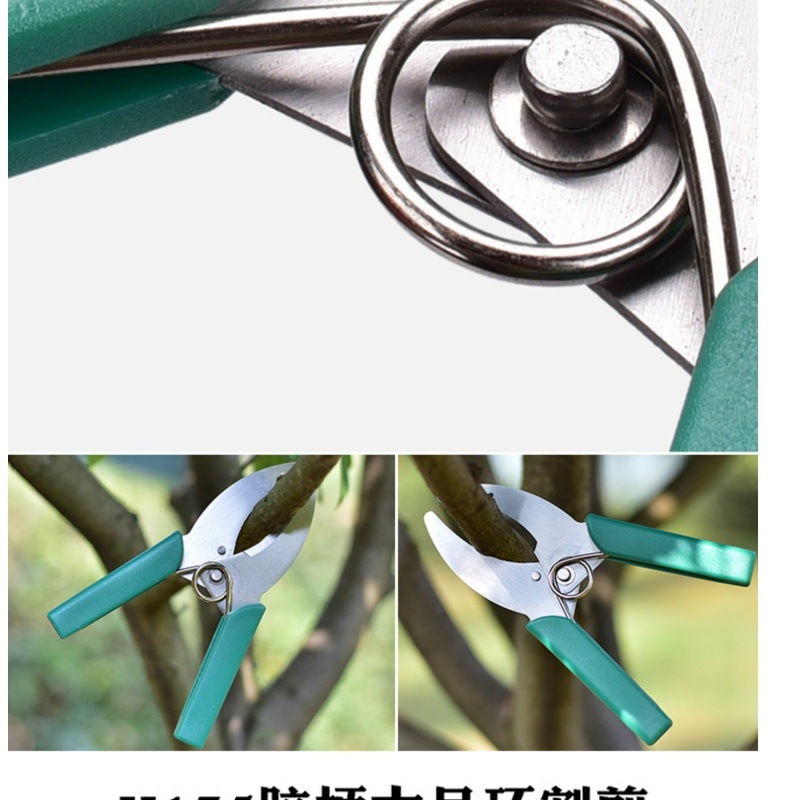 d0a114c1-8712-4fdf-b12f-18f154fa4129.jpe