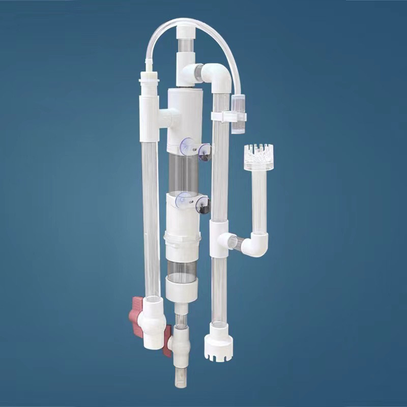 258a4e31-654f-43a4-b120-1cd5d98f85fe.jpe