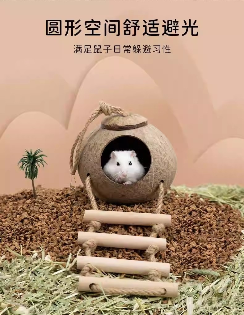 5e212433-f36f-4a8d-a1a3-100fc1330faf.jpe