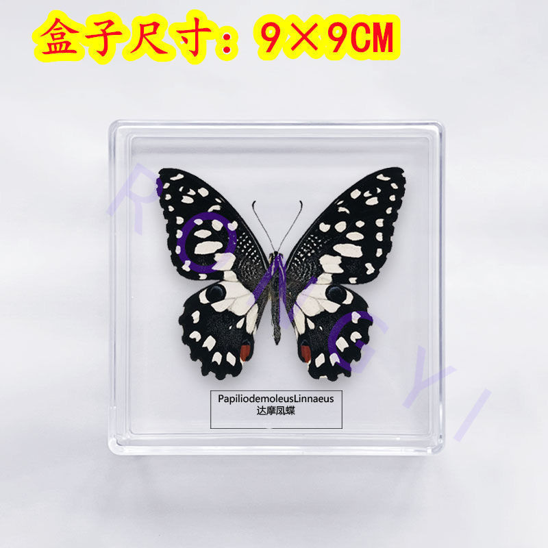 d841b3d7-aeb9-42ef-997d-5bf4d2f4d49c.jpe