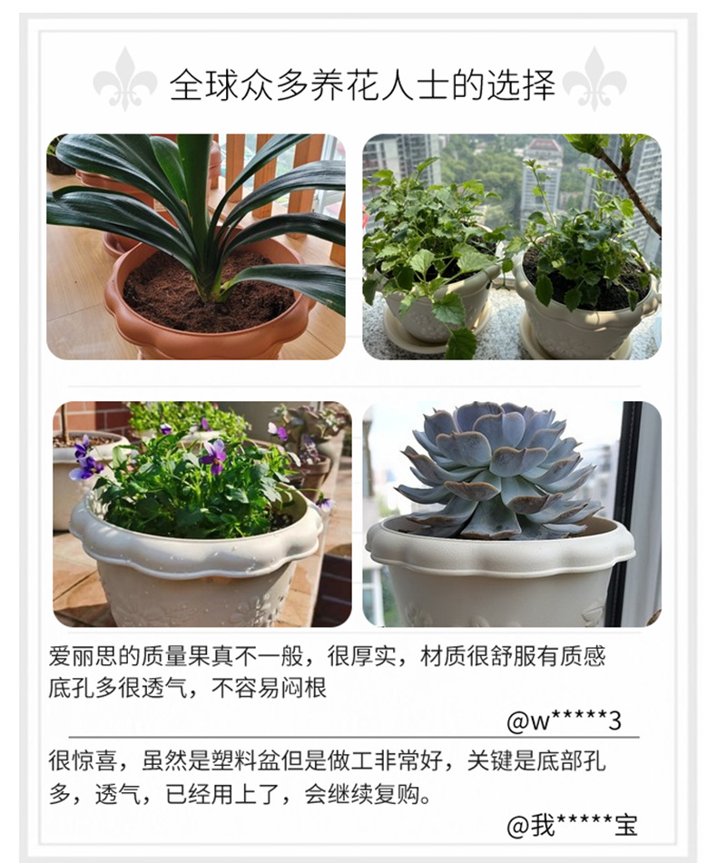 fl中钵_01.jpg