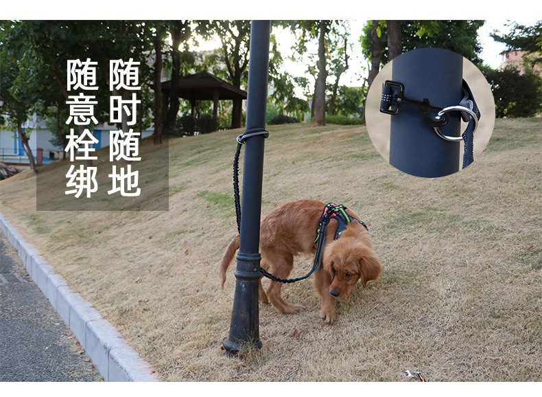 未标题-1_10.jpg