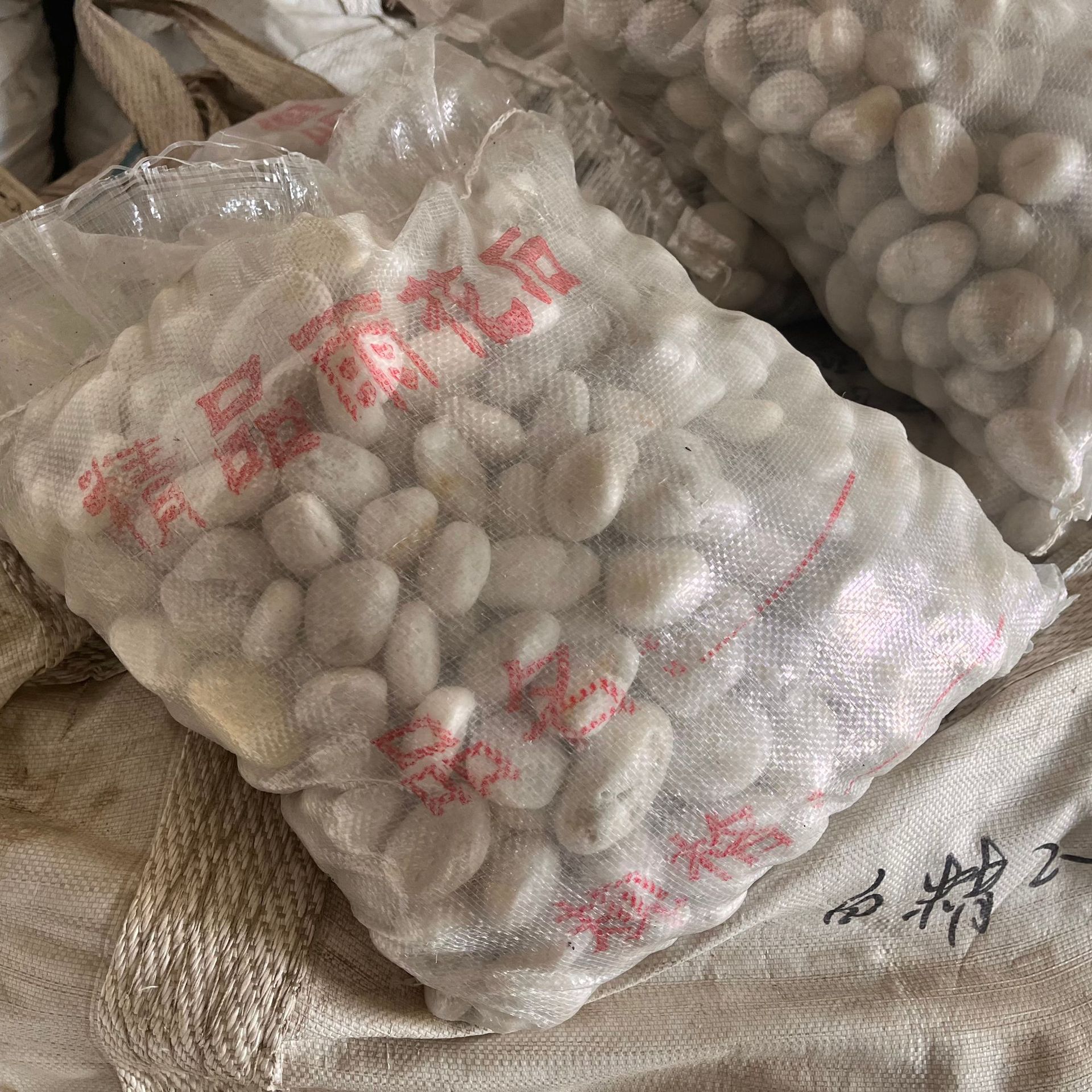 微信图片_20240527084046.jpg