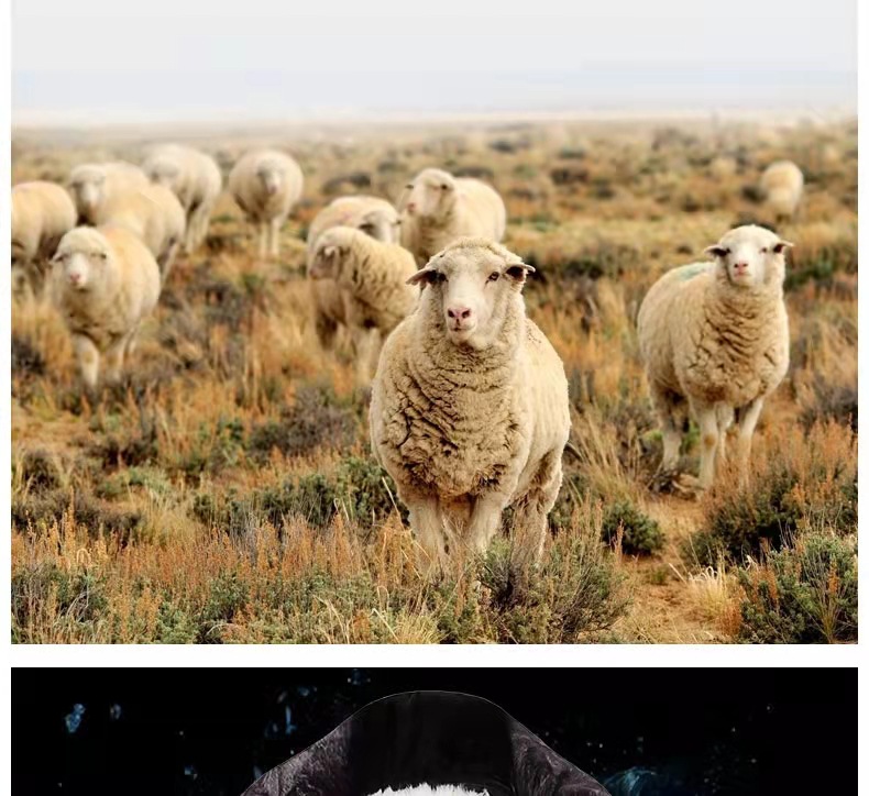 33865bcf336e78fd0494a8157d02de