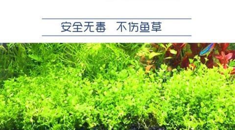 215c7c2f-69eb-4d90-bb47-43dbcf58ad83.jpe