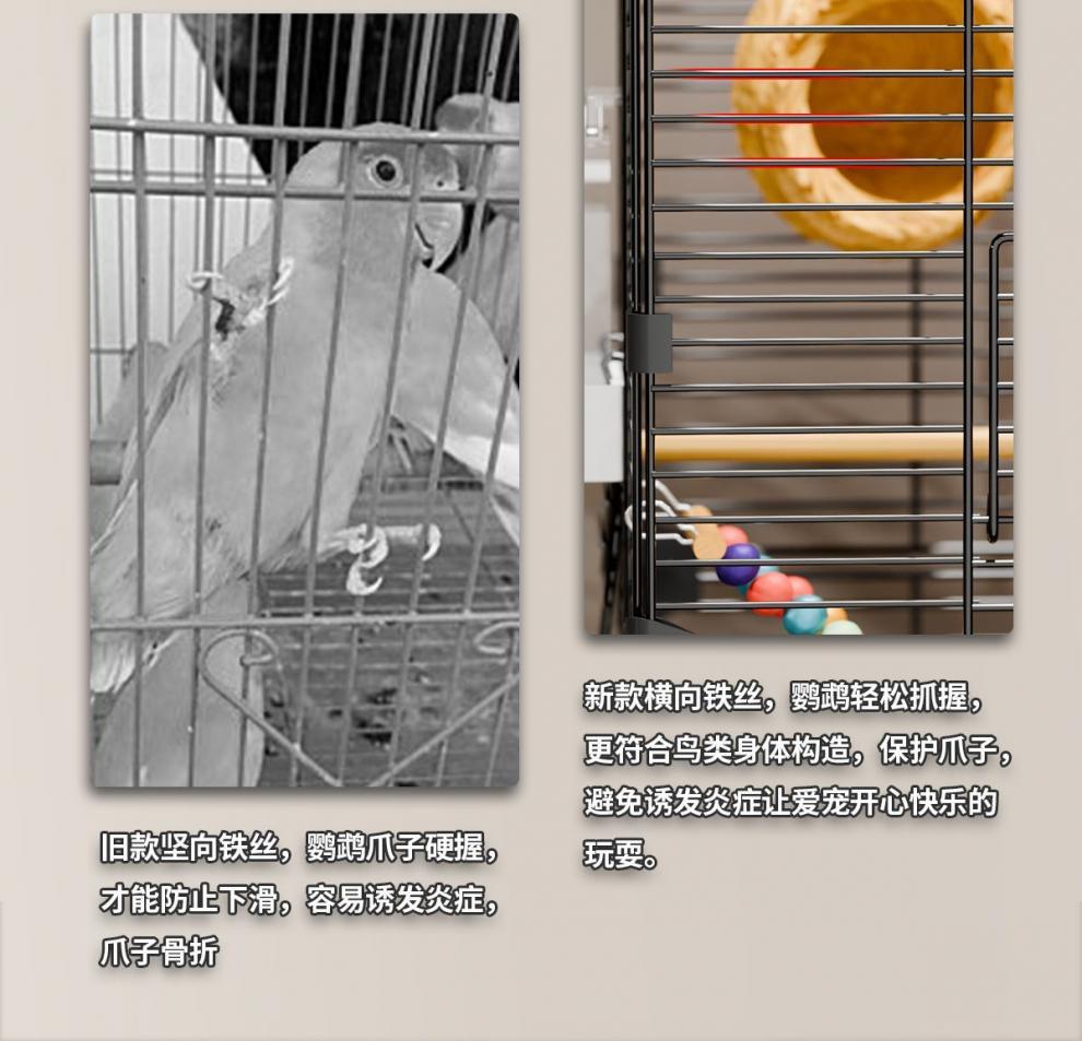 08612ea9-04d8-4928-9a64-a27f31f9ae5d.jpe