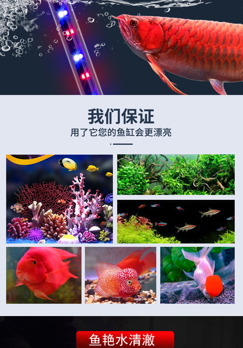 806ee938-7d60-4d86-89a2-e3fb16ea3a93.jpe