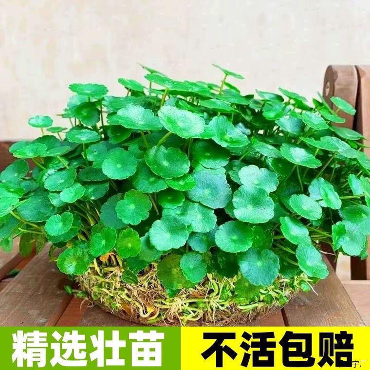 06ba1c9c-c07e-400f-a4b0-c0c18c4950f6.jpe