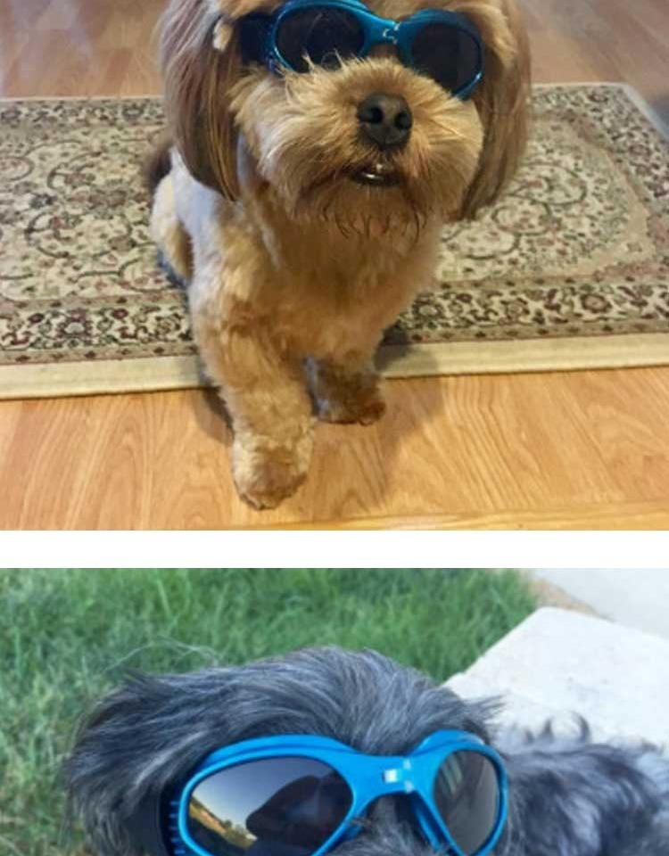 0126fdf1-533d-43b5-bcd0-090f20bea5b4.jpe