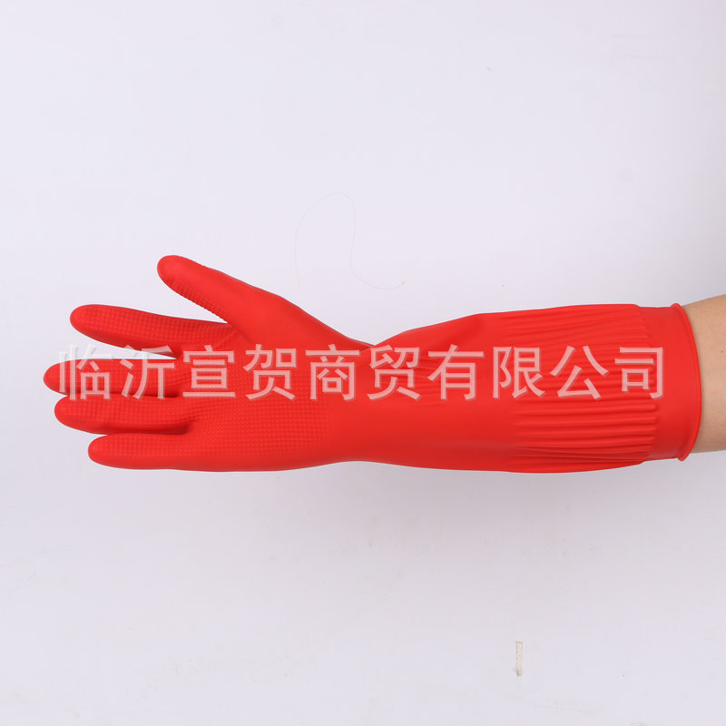 美人帮两色 (5).JPG