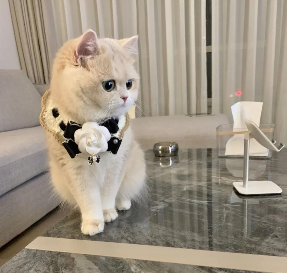 fcd928fa-98c0-4838-99ed-97d33156cab3.jpe