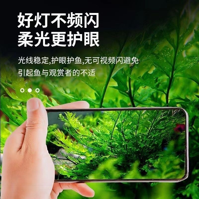 e7ed88c8-7704-4d74-bf60-54b67f2999f5.jpe