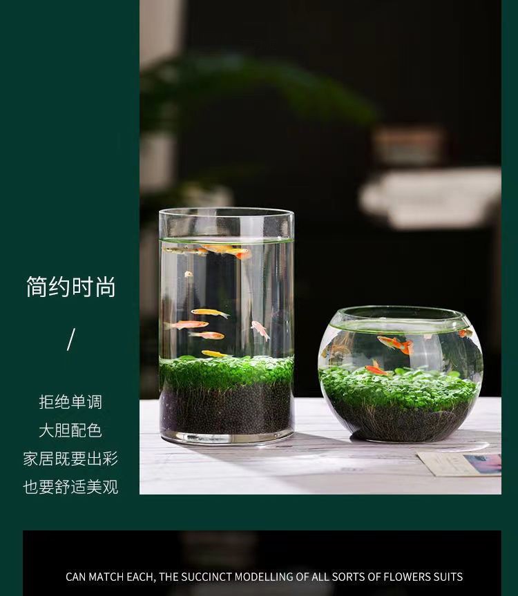 c0bb511d-13cb-46eb-a27d-f39ea50e1009.jpe