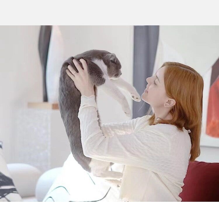 ca824669-6a7b-4c75-8b25-f0beada40172.jpe