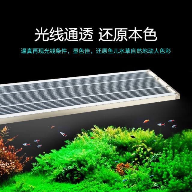 主图05.jpg