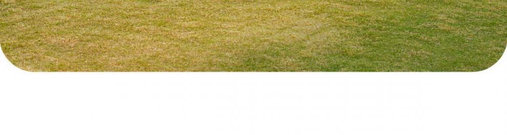 8b765fae-182a-4d45-b5fb-04b4bf11bfd6.jpe