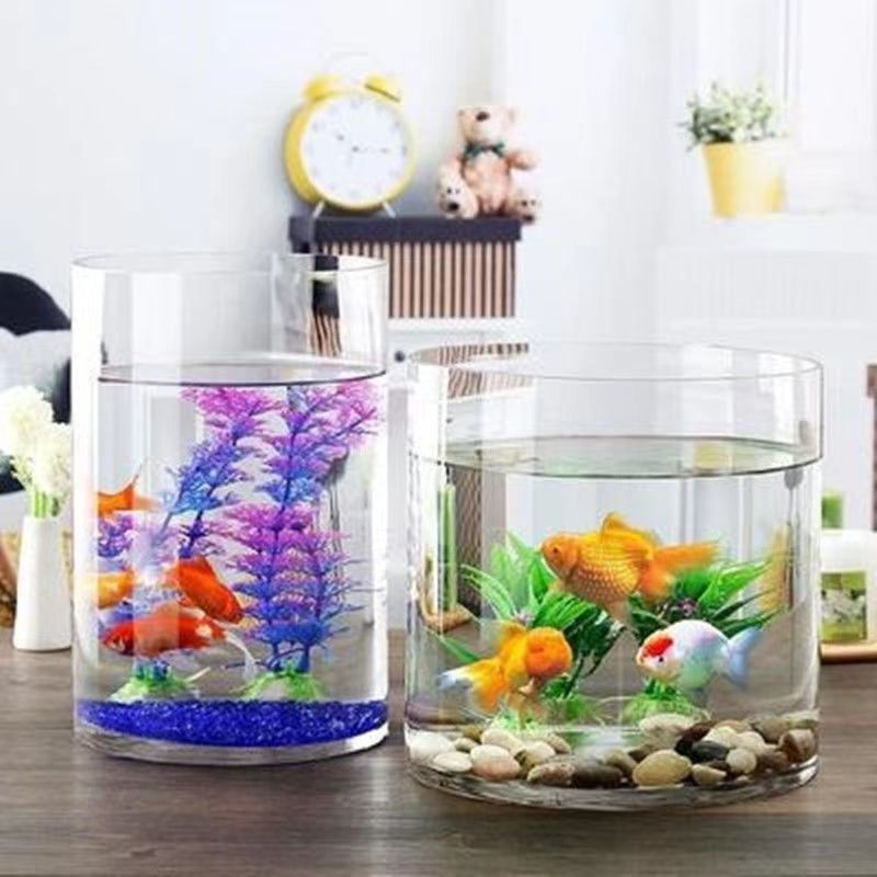 4f5df500-592a-40df-bf6d-18afc857a04a.jpe