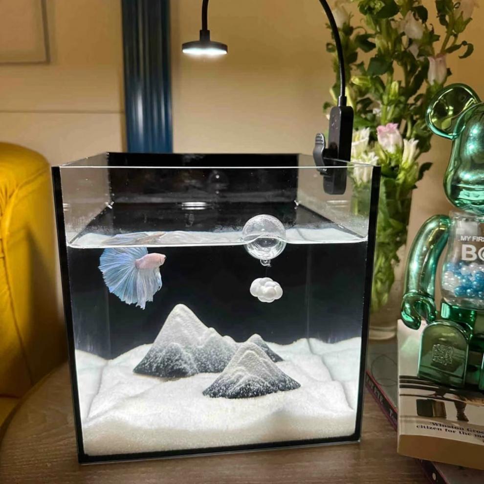 1f5644b4-2305-497f-9bc6-4137b7b4c0e0.jpe