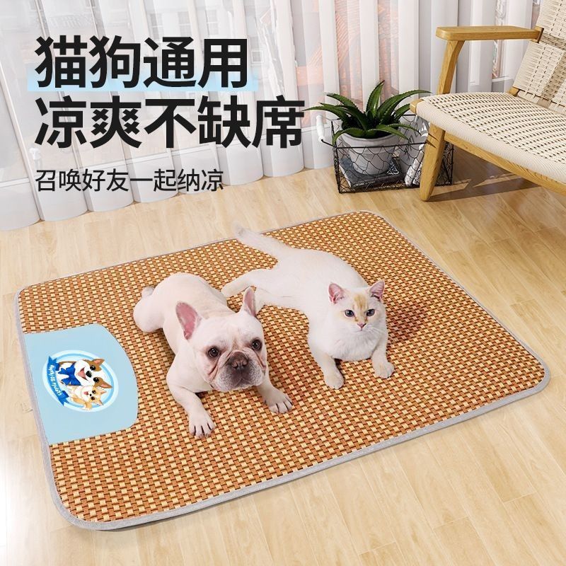 23d8f815-95b4-43d8-993c-f5a5bfff7cf6.jpe