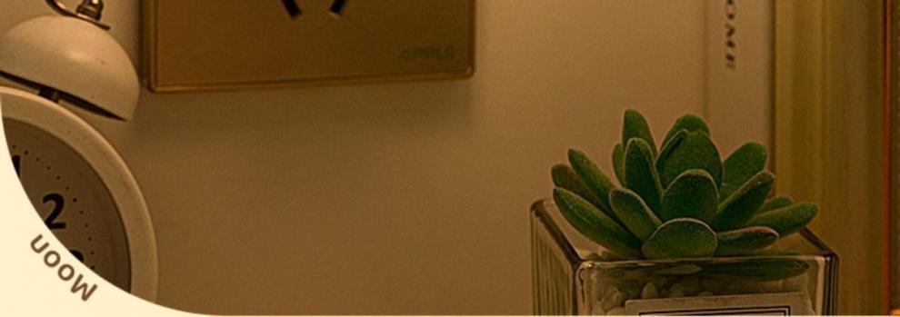 bb9be7ed-eb78-4b48-a3a9-8df9fd61aa8f.jpe