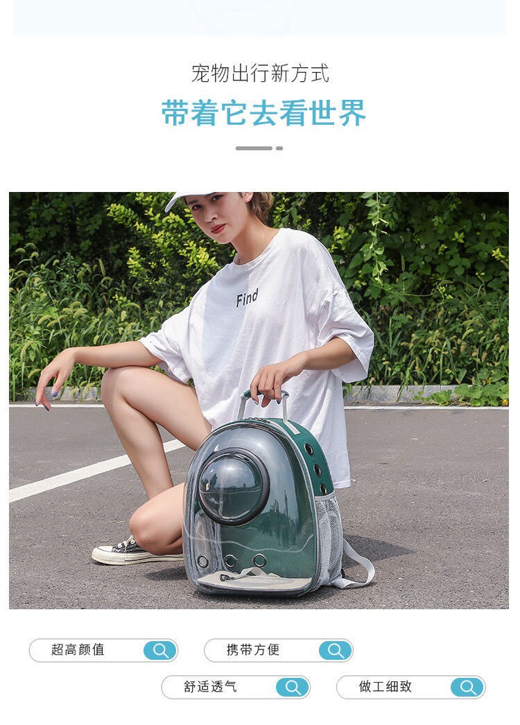 081b517f-8c7a-49c0-9b9d-2b1d3634ede3.jpe