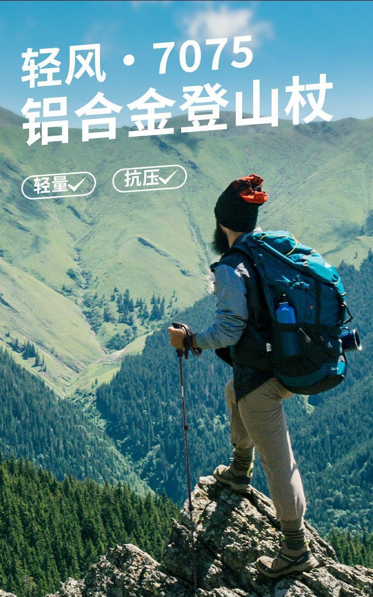 c661a124-7ca4-4fb3-82e6-8f9af9010a6f.jpe