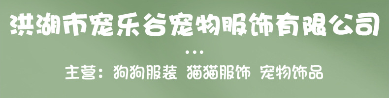 2022内页