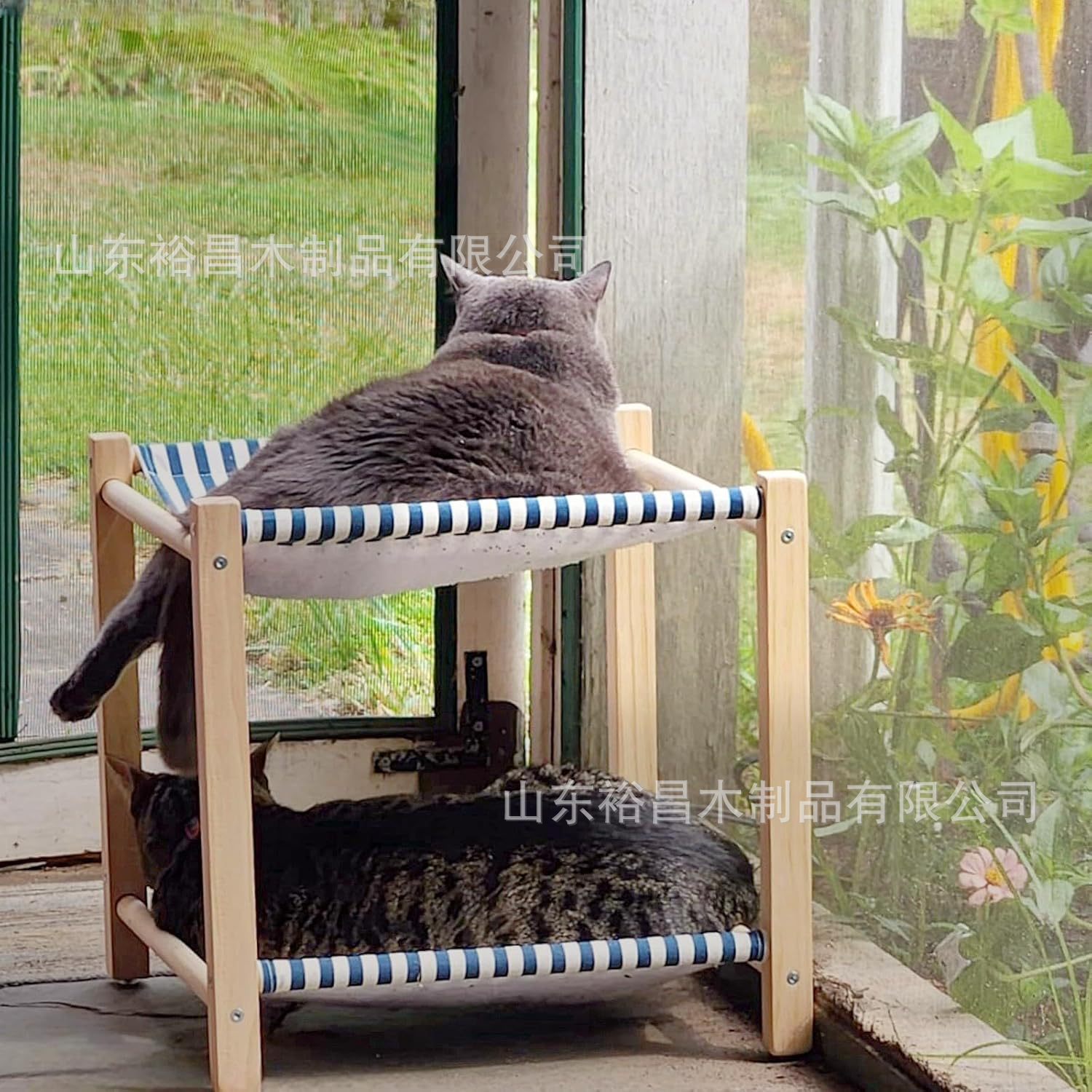 81nxApa47RL._AC_SL1500_