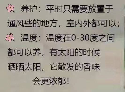7533137e-b2d7-4580-bdaf-25d41d6ca7c5.jpe