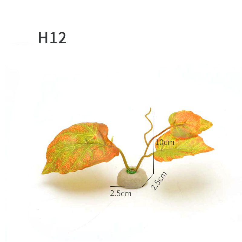H12