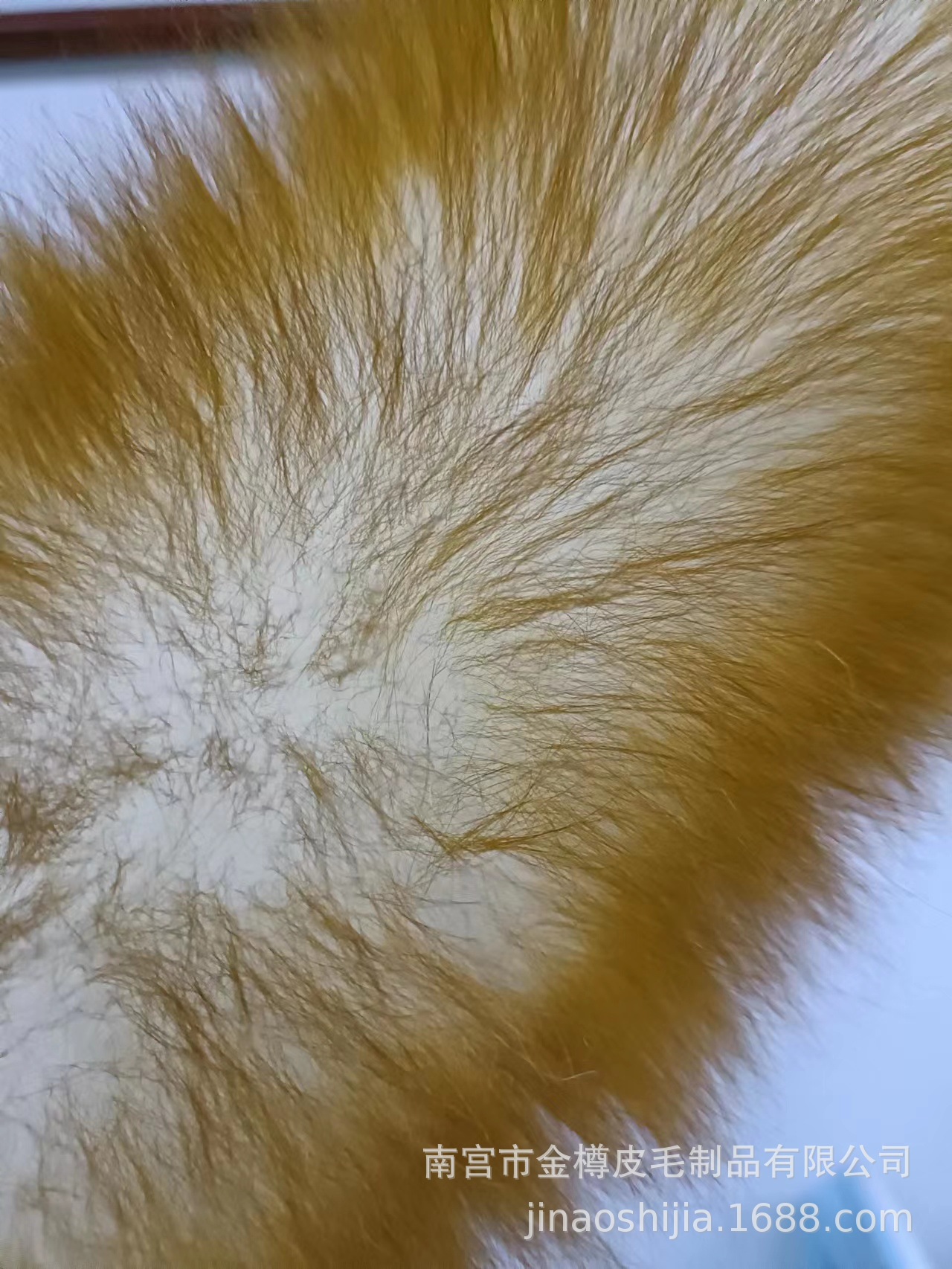 微信图片_20230212101502