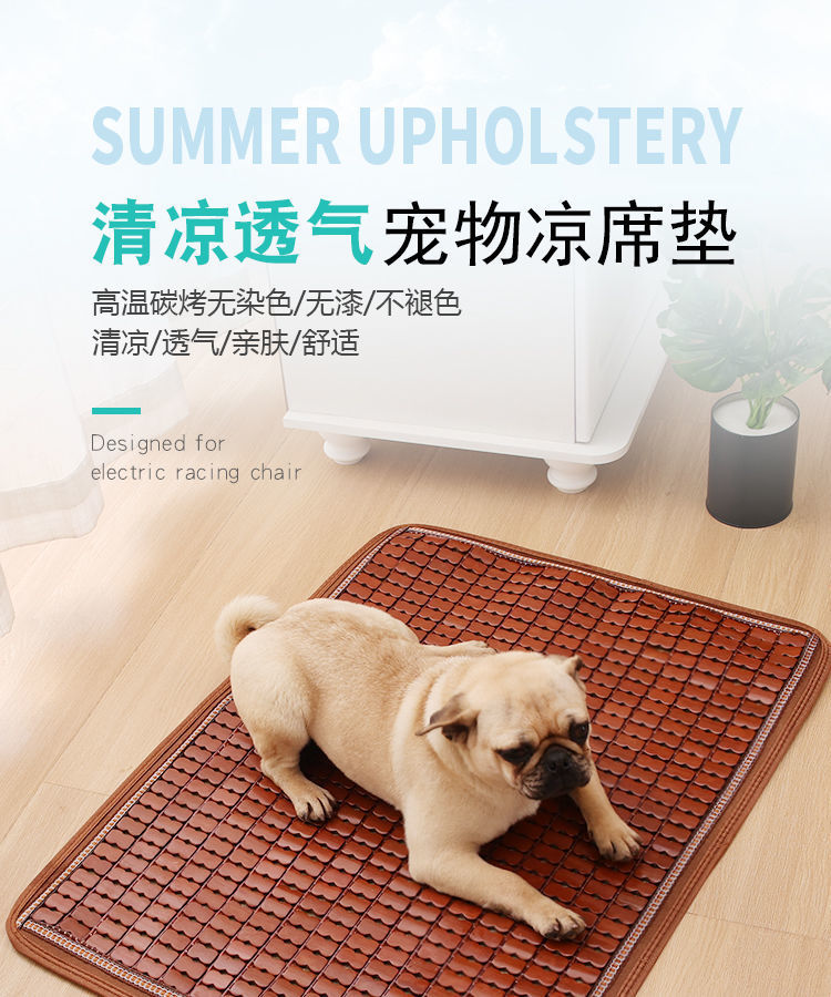 1aa832d6-c13b-4827-a28a-c8a66f5f312c.jpe