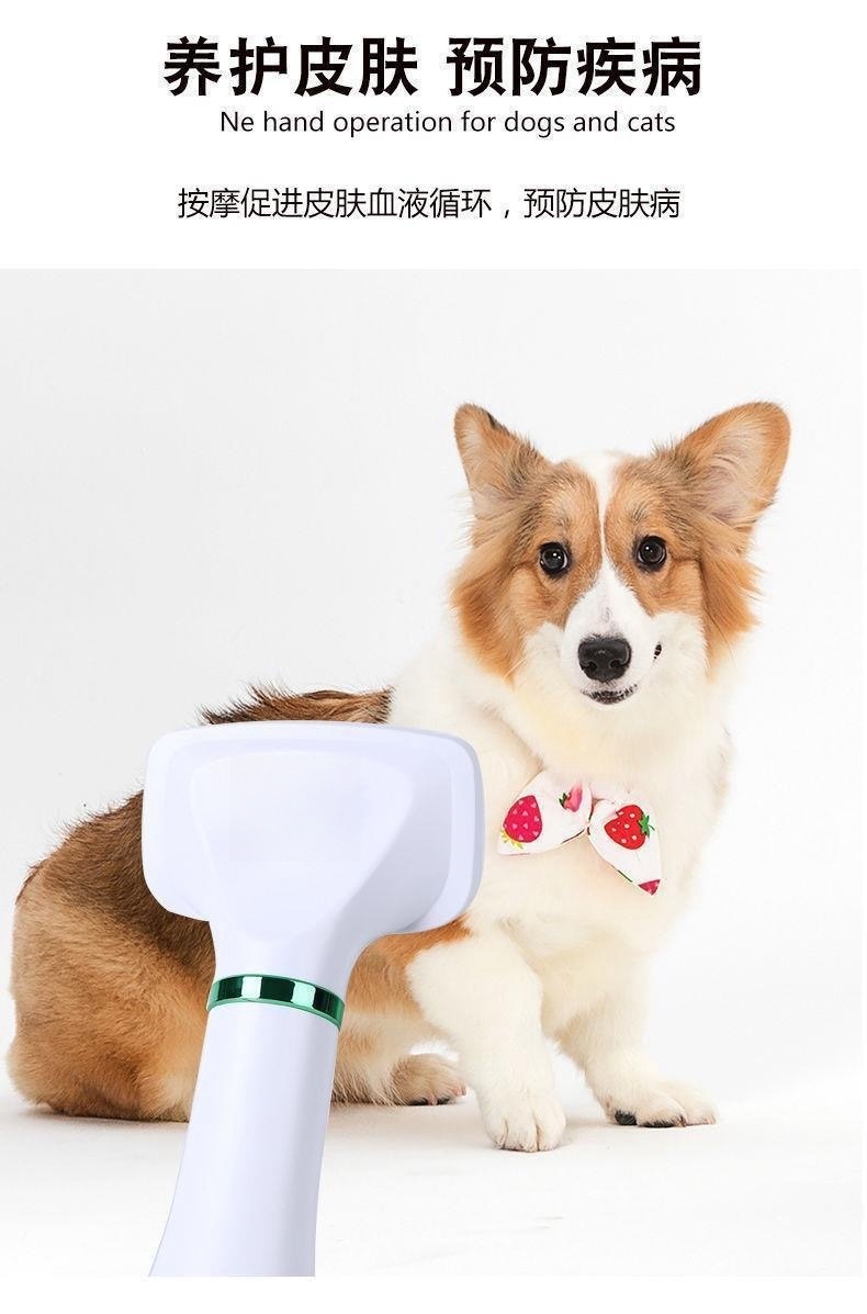 051861ad-6622-4c37-9e0a-02d441252e4e.jpe