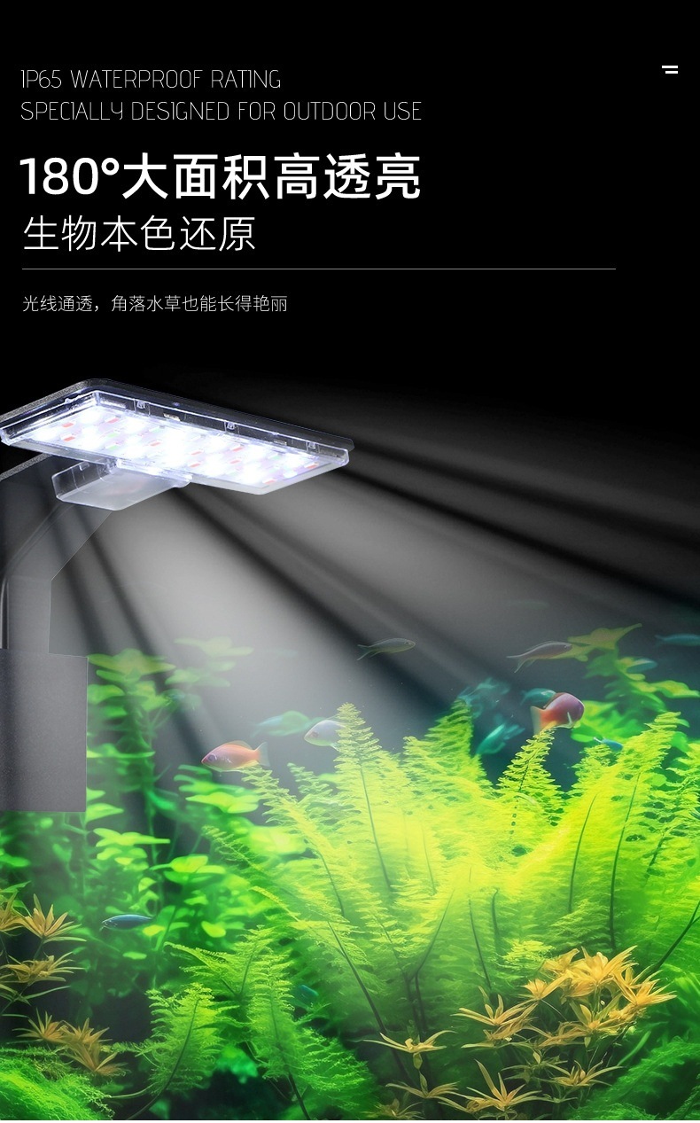 8eb39e9d-e872-4d7b-8b77-6a70dfa4f7db.jpe