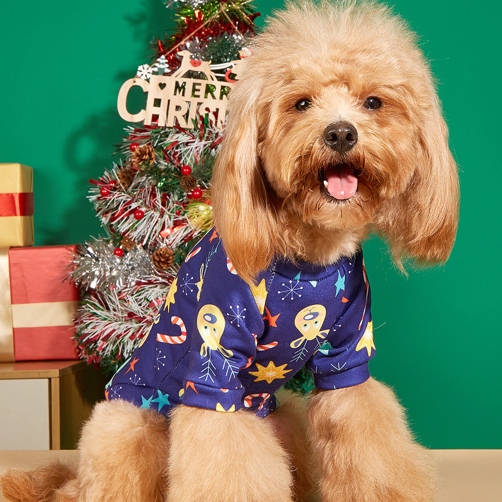 2Z5A9854 - 副本.jpg