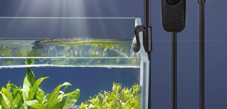 05e4c809-0f6e-42d0-91eb-e48608a6f239.jpe