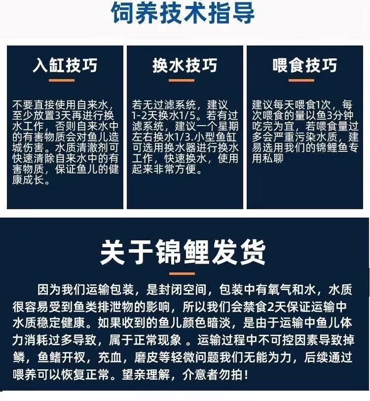 177b3301-ad55-4f35-b6f9-08c56baec30f.jpe