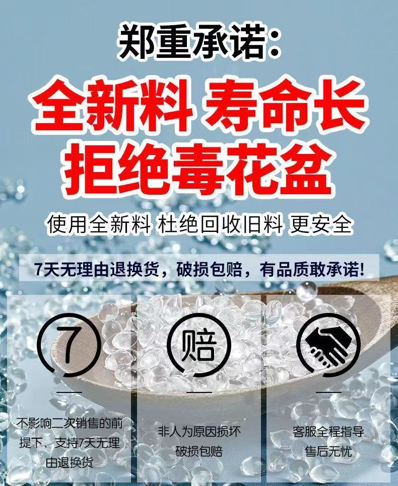 f0e8f02c-ad6f-40a6-852b-00a97253a1c7.jpe