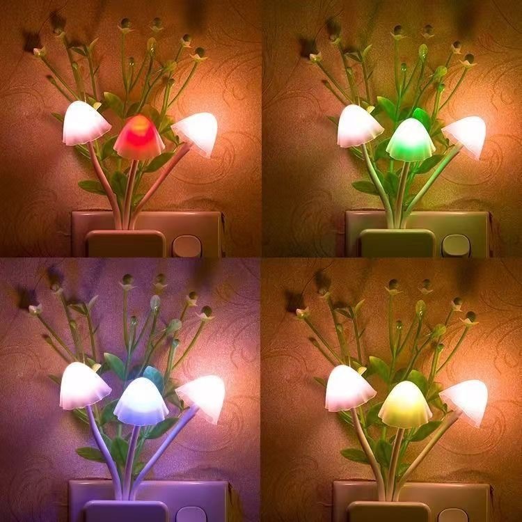 7c1eb98a-7c47-4138-b2f9-d3bad7d58b26.jpe