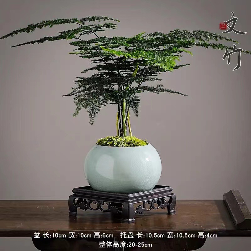 141b8dcc-bd01-4513-a54e-c43161bf20d2.jpe