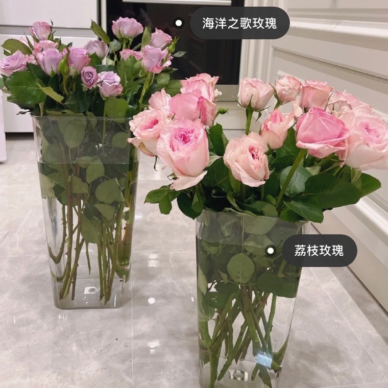 803df648-7054-43cc-afd0-02b2ff751325.jpe