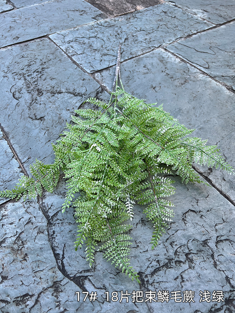 17#--18片把束鳞毛蕨-浅绿.jpg