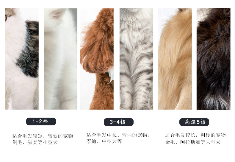 Q8宠物理发器_11