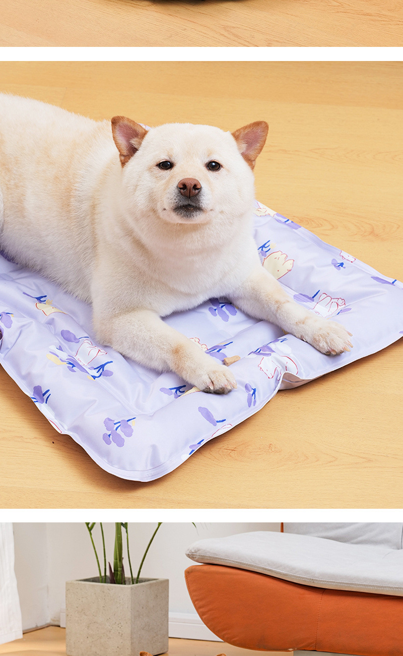 19f3390b-5d71-4d09-9f4a-50e3f39409a4.jpe