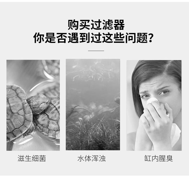 82d16f59-a57d-49ea-b698-31ebae1017aa.jpe