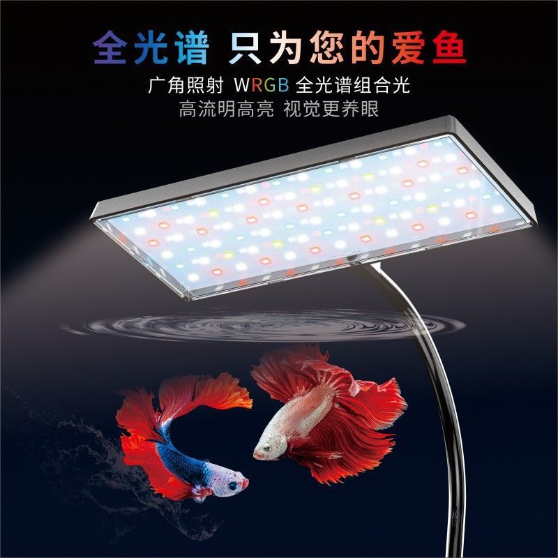 c42c892a-0a2a-4dba-b6b7-8ae2e79c2b6c.jpe