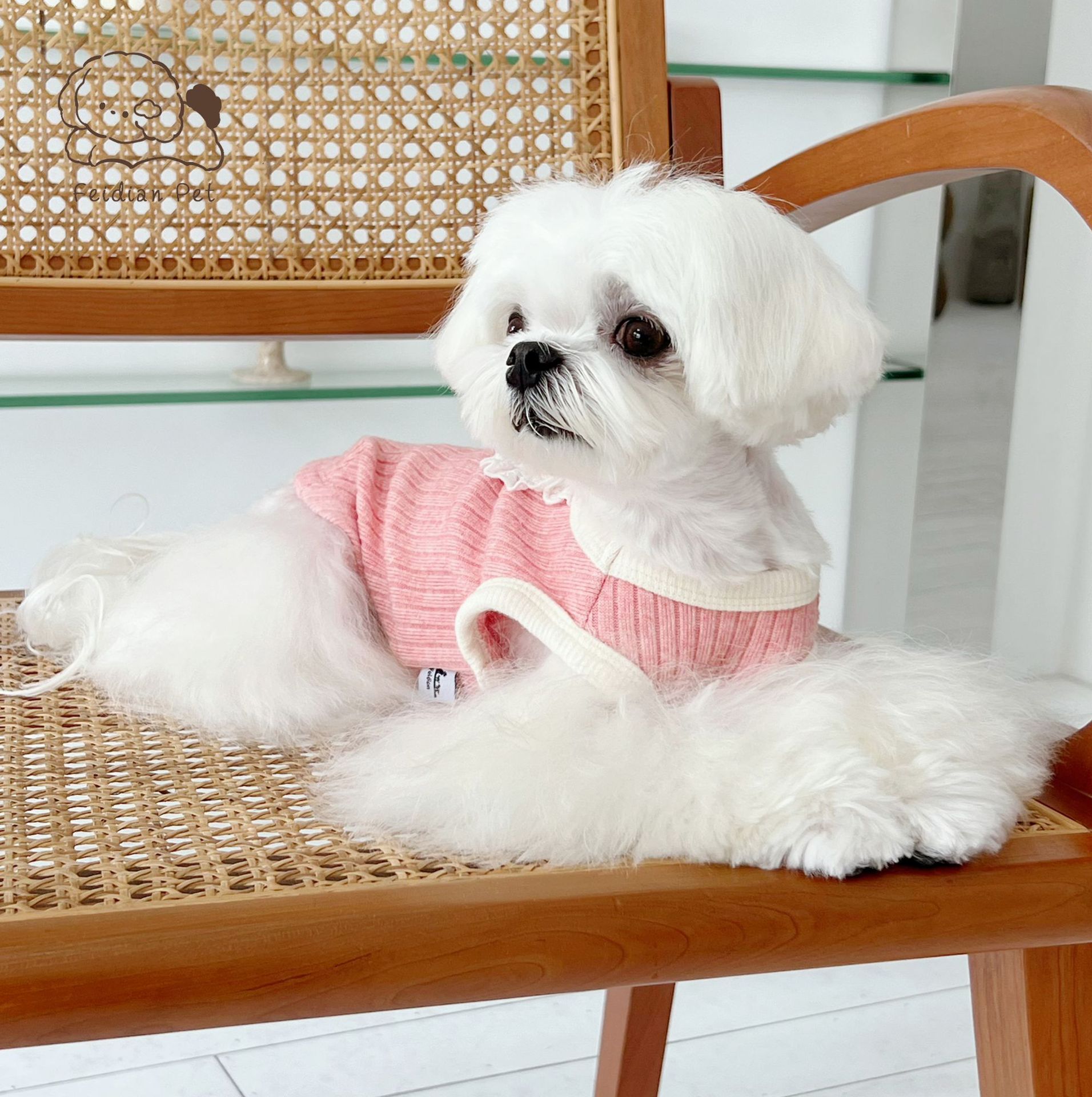 微信图片_20220822195000