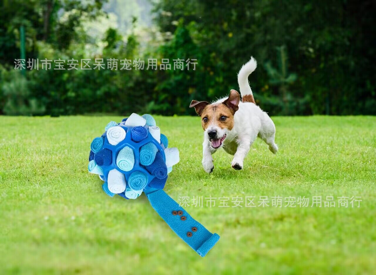 QQ图片20230330083442